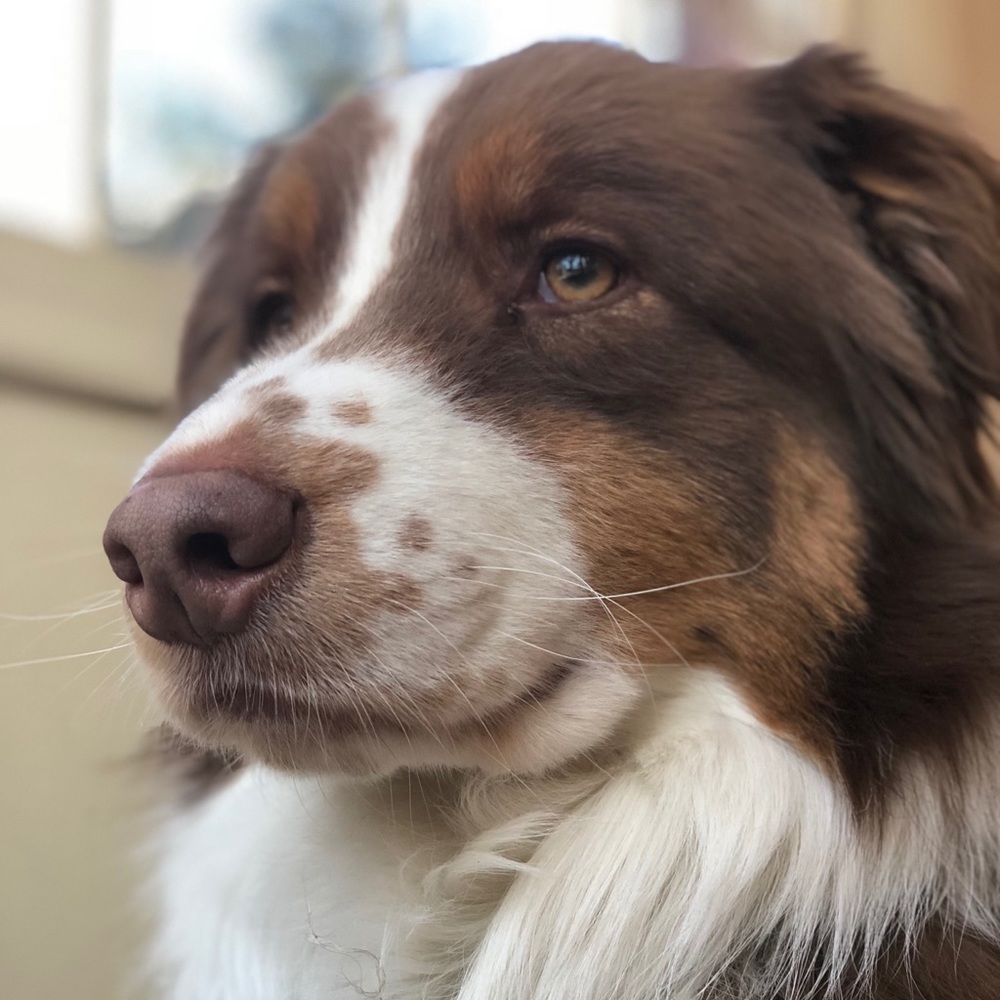 Meet your Posher, Allyson